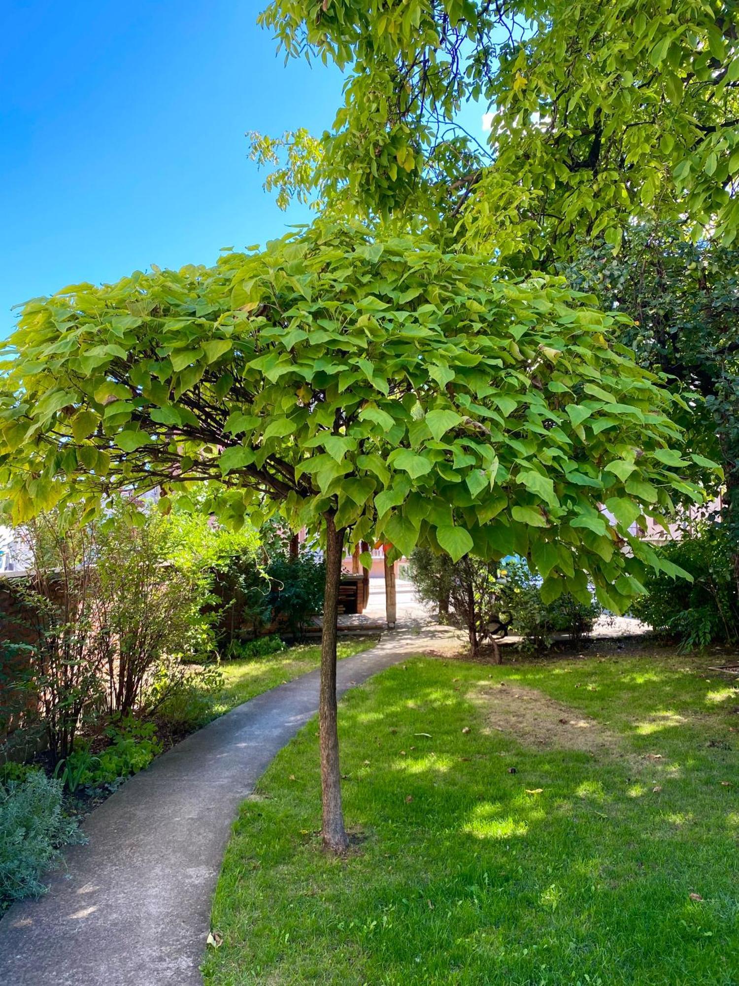 Apartmani Superstar Soko Banja Exteriér fotografie